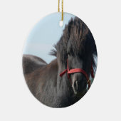 Black Pony Ornament (Rechts)