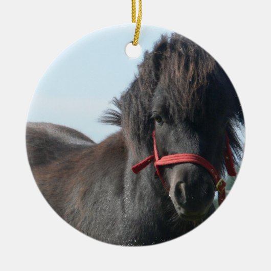 Black Pony Ornament (Voorkant)