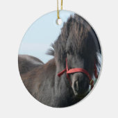 Black Pony Ornament (Links)