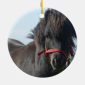 Black Pony Ornament (Achterkant)
