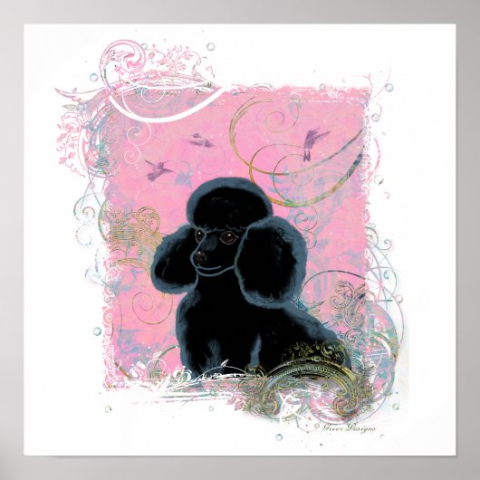 Black Poodle Hummingbird Swirls Art Invitation Poster (Voorkant)