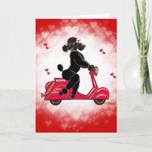 Black Poodle on Scooter Valentine Feestdagen Kaart