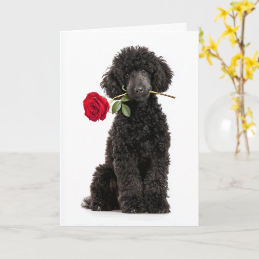 Black Poodle Puppy Valentine – Sweet Devotion Kaart (Gele Bloem)