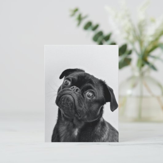 Black Pug Briefkaart (Staand voorkant)
