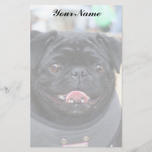 Black Pug Briefpapier (Voorkant)