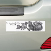 Black Pug Bumpersticker (Op auto)