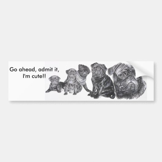 Black Pug Bumpersticker (Voorkant)