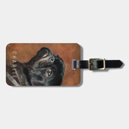 Black Pug Dog Bagagelabel (Voorkant horizontaal)