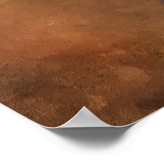 Black Pug Dog Photo Poster (Hoek)