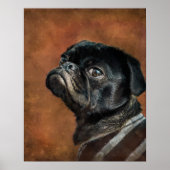 Black Pug Dog Photo Poster (Voorkant)