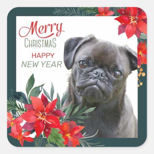 Black Pug Dog Poinsettia Bouquet Kerstmis Vierkante Sticker (Voorkant)