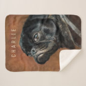 Black Pug Dog Sherpa Deken (Voorkant (horizontaal))