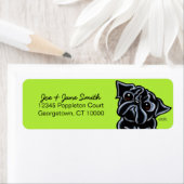 Black Pug Face Limoen Etiket (Insitu)