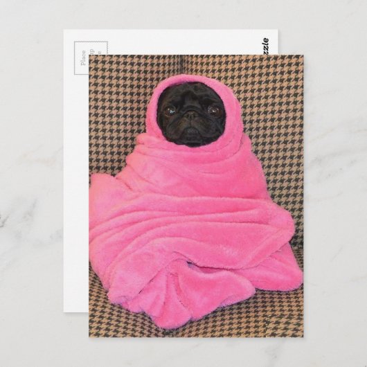 Black Pug in een roze tas Briefkaart (Voorkant / Achterkant)