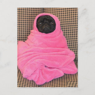 Black Pug in een roze tas Briefkaart