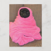 Black Pug in een roze tas Briefkaart (Voorkant)
