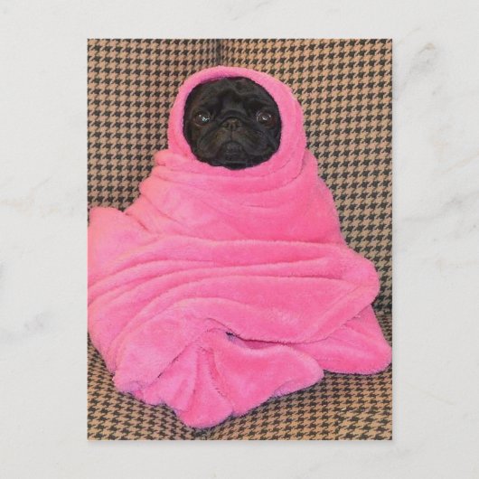 Black Pug in een roze tas Briefkaart (Voorkant)