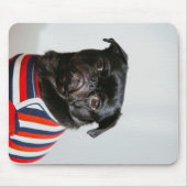 Black Pug in een Sweater Blanket Muismat (Voorkant)