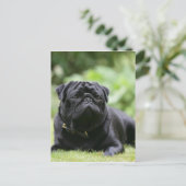 Black Pug Laing Down Briefkaart (Staand voorkant)