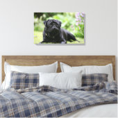 Black Pug Laing Down Canvas Afdruk (Insitu (Slaapkamer))