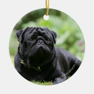 Black Pug Laing Down Keramisch Ornament