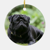 Black Pug Laing Down Keramisch Ornament (Achterkant)