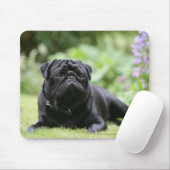 Black Pug Laing Down Muismat (Met muis)