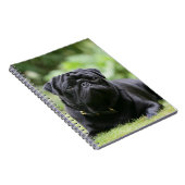 Black Pug Laing Down Notitieboek (Rechterzijde)
