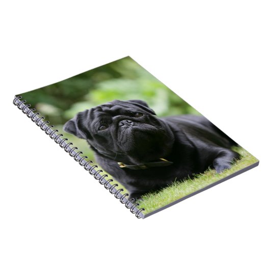 Black Pug Laing Down Notitieboek (Rechterzijde)
