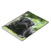 Black Pug Laing Down Notitieboek (Linkerzijde)