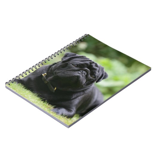 Black Pug Laing Down Notitieboek (Linkerzijde)