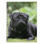 Black Pug Laing Down Notitieboek (Voorkant)