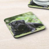 Black Pug Laing Down Onderzetter (Linkerzijde)