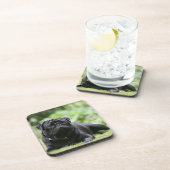 Black Pug Laing Down Onderzetter (Rechterzijde)