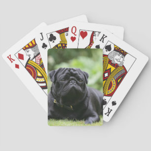 Black Pug Laing Down Pokerkaarten