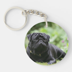Black Pug Laing Down Sleutelhanger