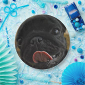black pug licking papieren bordje (Feest)