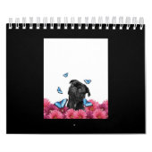 Black Pug met blauwe vlinders en gerberas Kalender (Hoes)