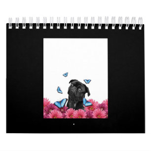 Black Pug met blauwe vlinders en gerberas Kalender