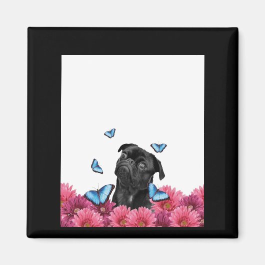 Black Pug met blauwe vlinders en gerberas Magneet (Voorkant)