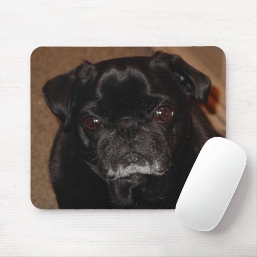 Black Pug Mok Mousepad Muismat (Met muis)