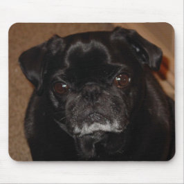 Black Pug Mok Mousepad Muismat