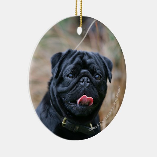 Black Pug Panting terwijl het bekijken van Camera Keramisch Ornament (Rechts)