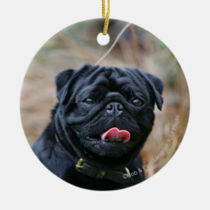 Black Pug Panting terwijl het bekijken van Camera Keramisch Ornament