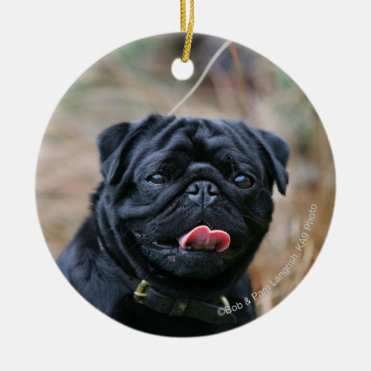 Black Pug Panting terwijl het bekijken van Camera Keramisch Ornament (Voorkant)