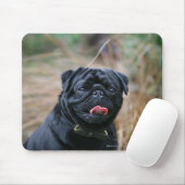 Black Pug Panting terwijl het bekijken van Camera Muismat (Met muis)