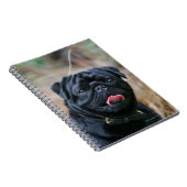 Black Pug Panting terwijl het bekijken van Camera Notitieboek (Rechterzijde)