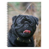 Black Pug Panting terwijl het bekijken van Camera Notitieboek (Voorkant)