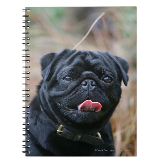 Black Pug Panting terwijl het bekijken van Camera Notitieboek (Voorkant)