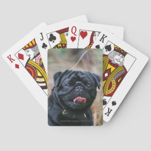 Black Pug Panting terwijl het bekijken van Camera Pokerkaarten